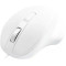 Matias Wired USB Type-C PBT Mouse White Matias Wired USB Type-C PBT Mouse White
