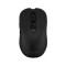 PROLiNK PMW6009 2.4GHz Wireless Nano Optical Mouse PROLiNK PMW6009 2.4GHz Wireless Nano Optical Mouse